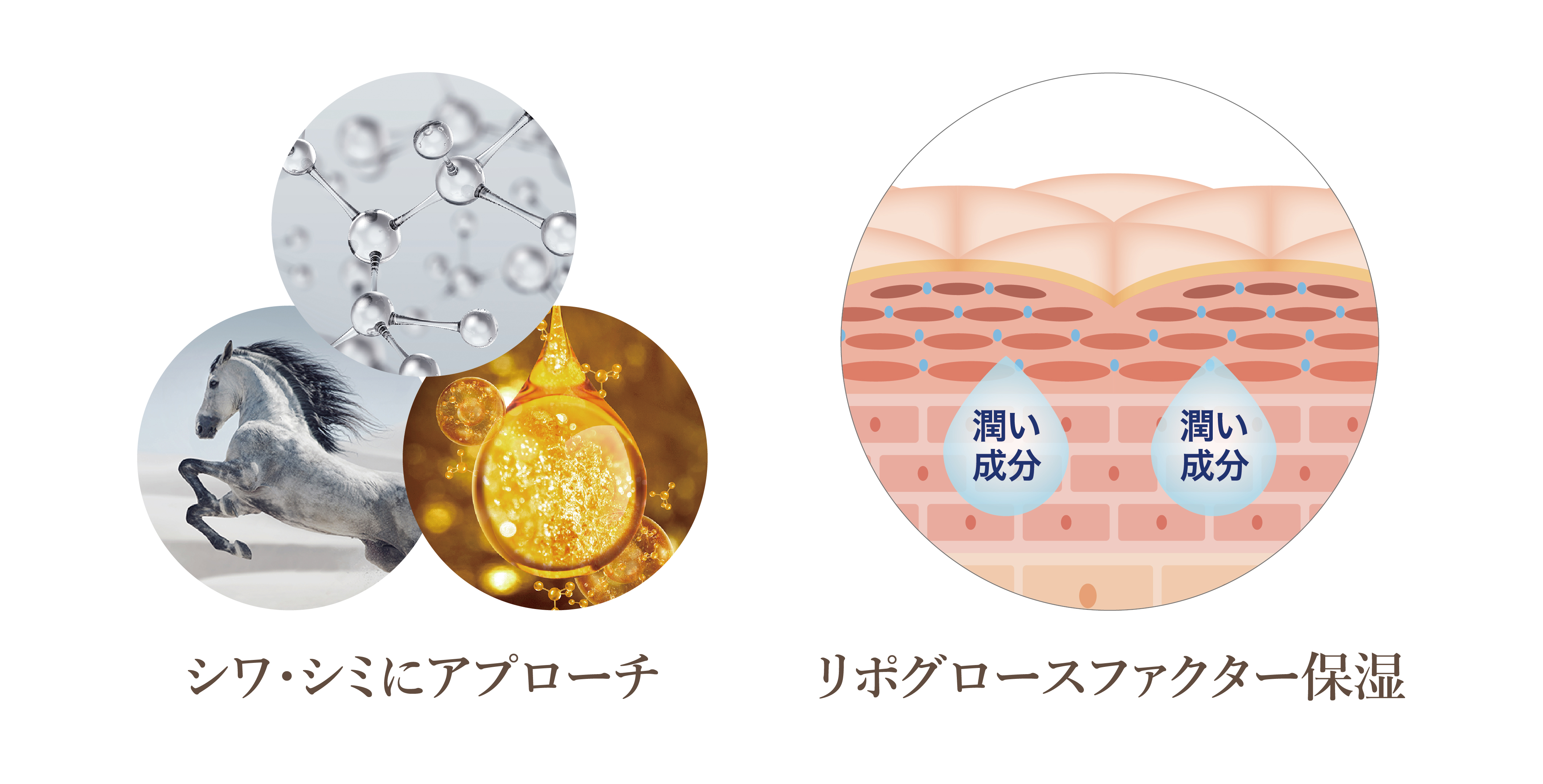 肌トラブルにマルチアプローチ